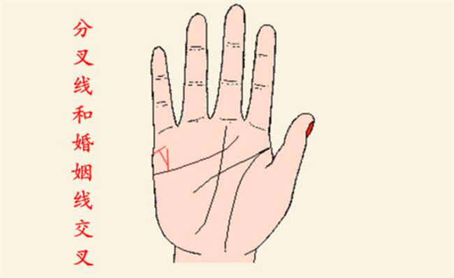 女人手掌纹路图解右手婚姻线 婚姻线清楚一生挚爱一人（手相分析婚姻）