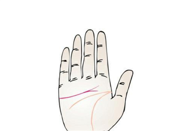 女人手掌纹路图解右手感情线 尾端分岔的感情线勇于尝试（感情线）