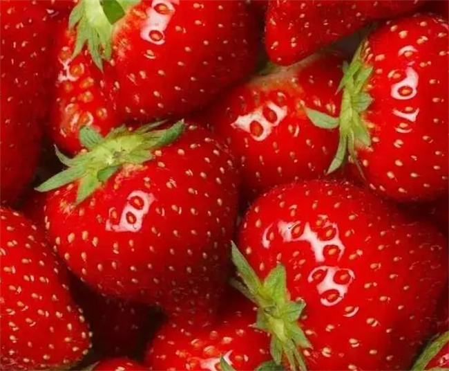吃草莓的食用禁忌 