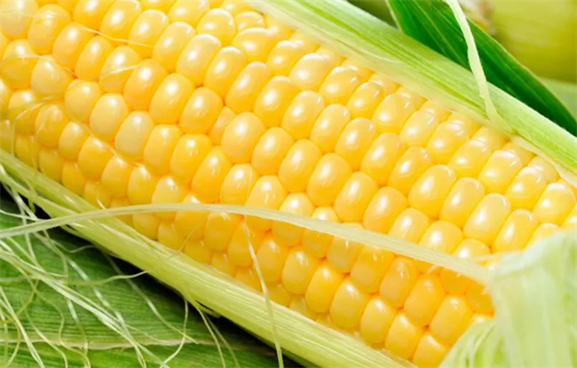 吃玉米会不会影响孩子肠胃健康