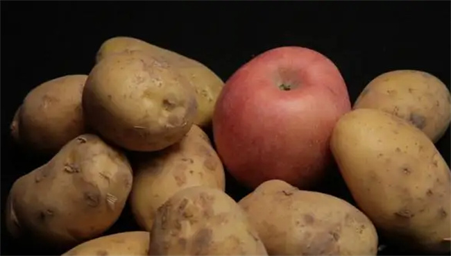苹果可以防止土豆发芽吗