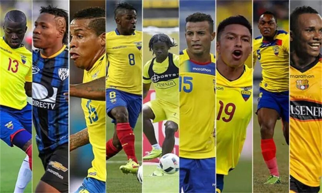 厄瓜多尔世界杯阵容名单最新