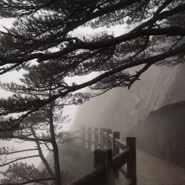 4·19~4·28生肖运势蓬发，大吉大利，财运爆棚，聚财能力一流。 