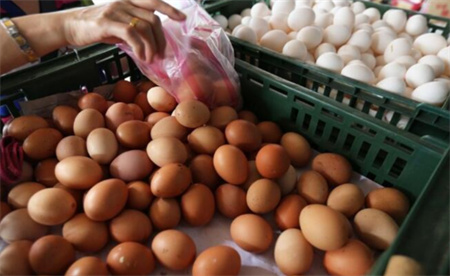 ​台湾蛋荒未解鸡蛋又被检出禁用药 有何危害？