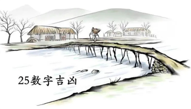25的数理好不好