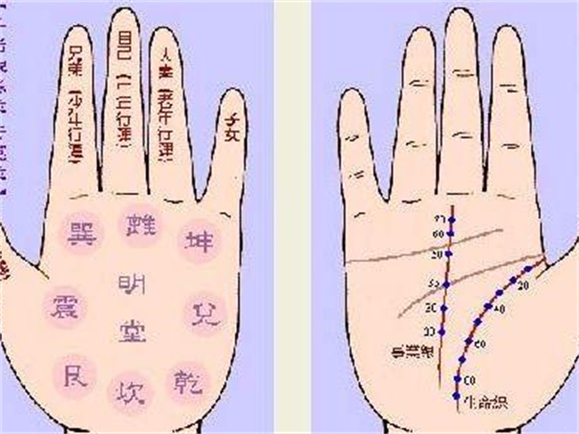 男人手相怎么看桃花运