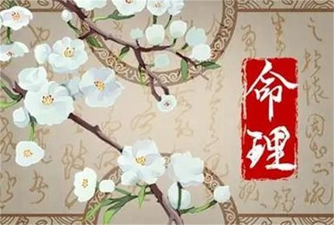 午时生的男孩子命不好吗