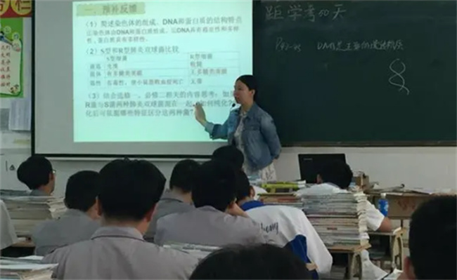 高中生物的提分方法有哪些，都有什么技巧