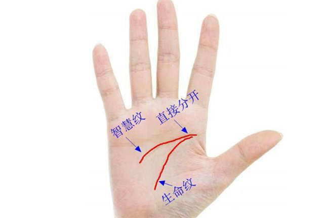 断掌命运如何