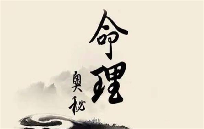 2020年7月出生的鼠宝宝好不好