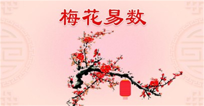 怎么自学梅花易数