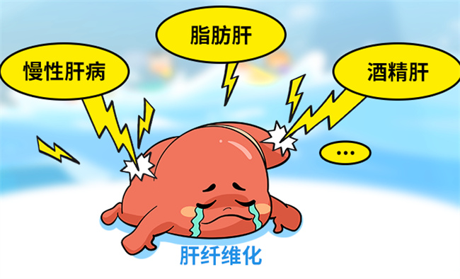 肝病病人吃哪些东西有益健康，肝病的治疗与预防