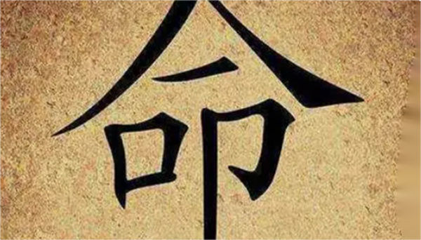 八字食伤星是什么意思