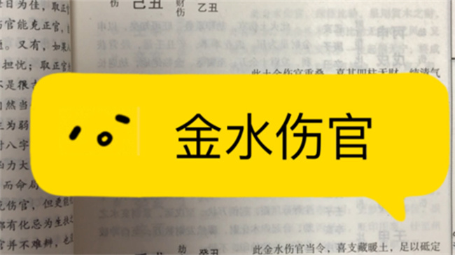 金水伤官见官会怎么样