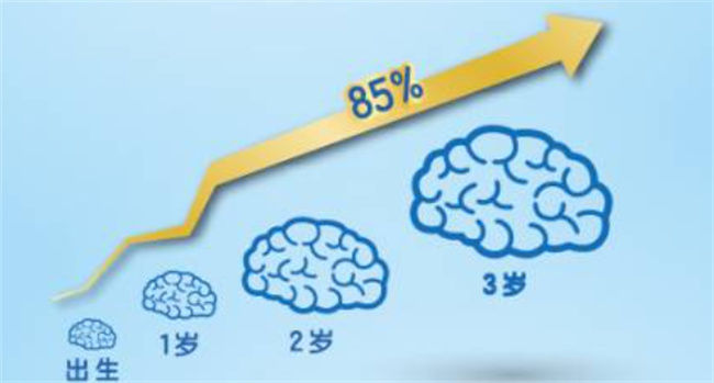 在哪个时间段喊妈妈的娃智力发育较好呢