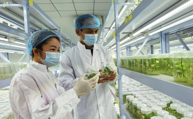 今年24种本科新专业纳入招生，生物育种技术是什么