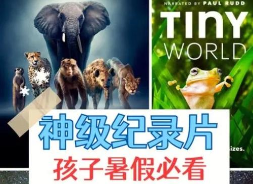 推荐几部最近很火的教育孩子的视频给孩子正确的引导